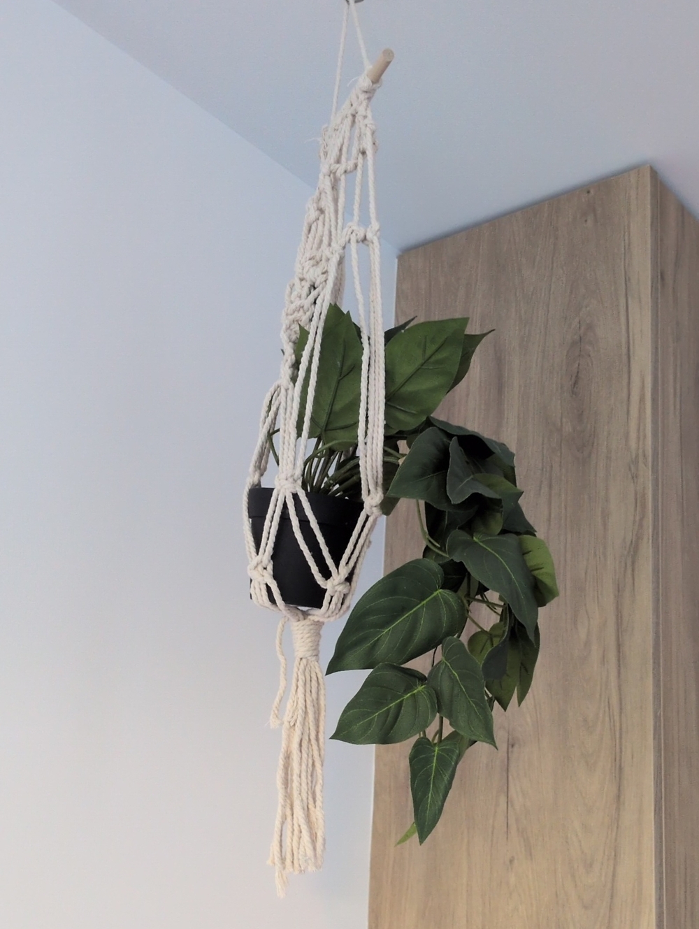 Cream Macramé Hanging Plant Holder with Black Pot